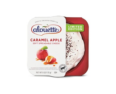 Aldi fall flavored dip caramel apple cheese