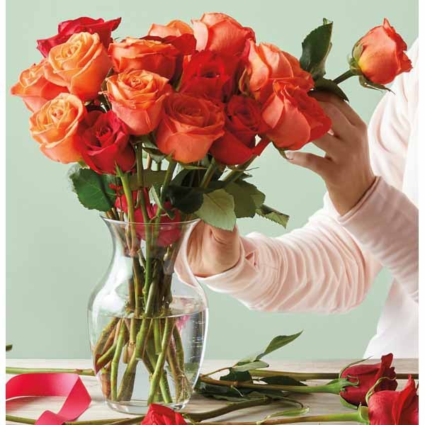 Aldi valentine's day gifts roses