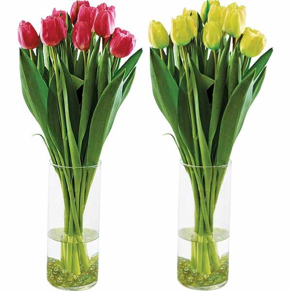 Aldi valentine tulips