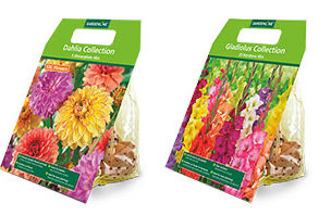 Aldi Gardenline Mixed Spring Bulbs