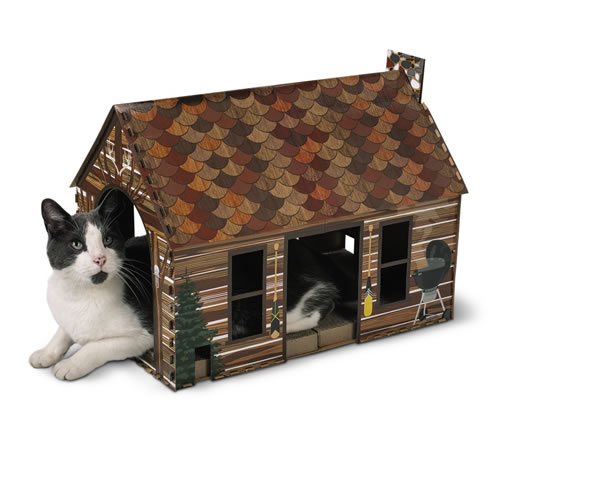 cardboard cat house at Aldi
