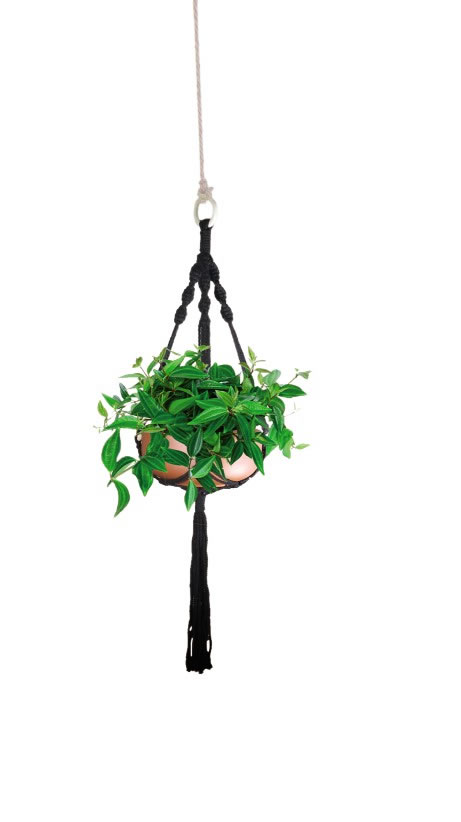 macrame plant hanger at aldi