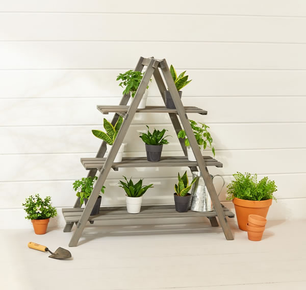 aldi plant ladder