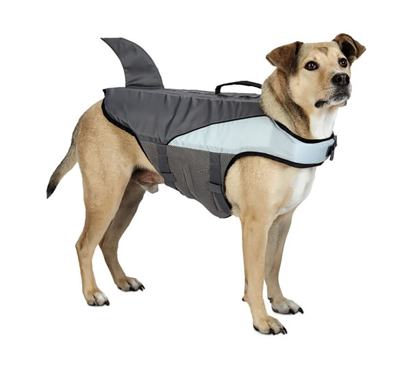 aldi floatation aid dog shark fin