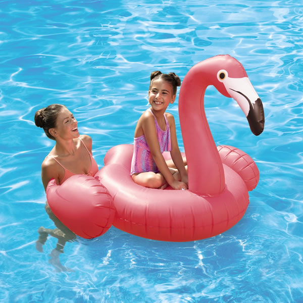 aldi flamingo pool float
