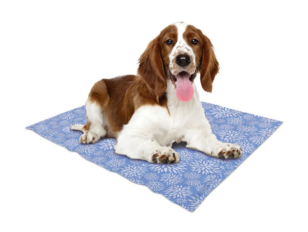 aldi pet cooling mat with dog 