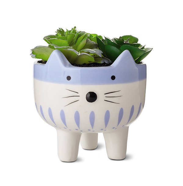 Huntington Home Mini Decorative Succulents cat