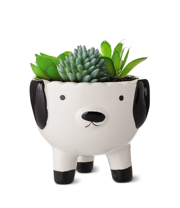 Huntington Home Mini Decorative Succulents dog