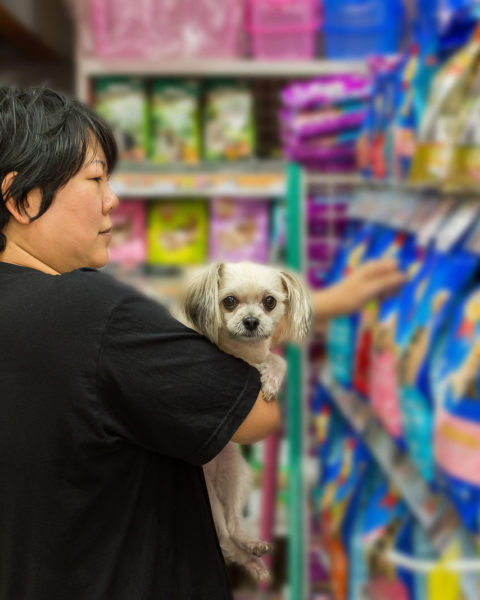 Target Pet friendly