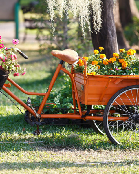 Home Depot Deliver Plants