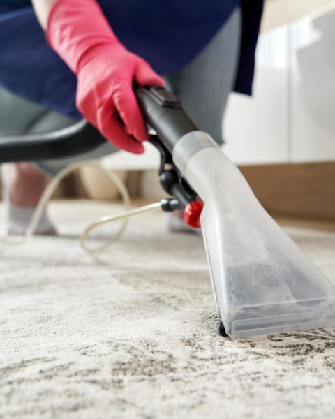 Walmart Carpet Cleaner Rental