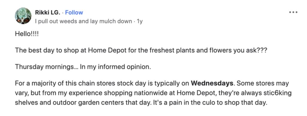 Home Depot Restock Plants Review 1