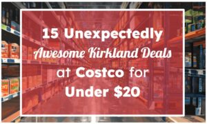 15 Unexpectedly Awesome Kirkland Deals at Costco for Under $20