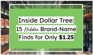 Inside Dollar Tree: 15 Hidden Brand-Name Finds for Only $1.25