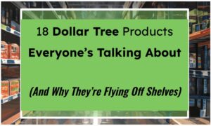 18 Dollar Tree Products Everyone’s Talking About (And Why They’re Flying Off Shelves)