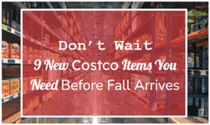 Don’t Wait—9 New Costco Items You Need Before Fall Arrives