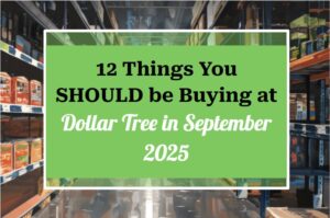 12 Things You SHOULD Be Buying at Dollar Tree in September 2025
