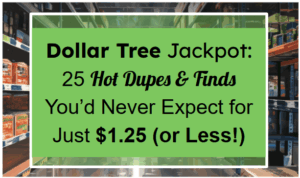 Dollar Tree Jackpot: 25 Hot Dupes & Finds You’d Never Expect for Just $1.25 (or Less!)