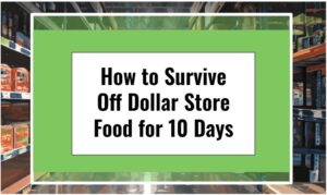 How to Survive Off Dollar Store Food for 10 Days