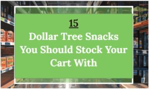 15 Dollar Tree Snacks You Should Stock Your Cart With