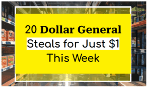 20 Dollar General Steals for Just $1 This Week