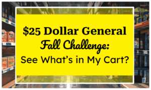 $25 Dollar General Fall Challenge: See What’s in My Cart?
