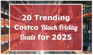 20 Trending Costco Black Friday Deals for 2025