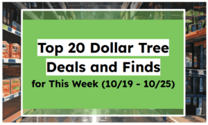 Top 20 Dollar Tree Deals and Finds for This Week (10/19 - 10/25)