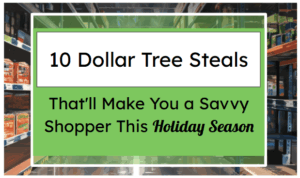 10 Dollar Tree Steals That'll Make You a Savvy Shopper This Holiday Season