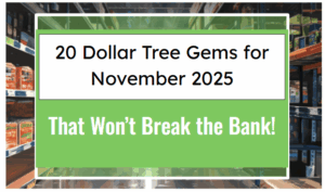 20 Dollar Tree Gems for November 2025 That Won’t Break the Bank!