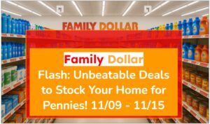 Family Dollar Flash: Unbeatable Deals to Stock Your Home for Pennies! 11/09 - 11/15