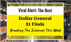 Viral Alert: The Best Dollar General $1 Finds Breaking the Internet This Week