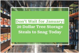 Don’t Wait for January: 20 Dollar Tree Storage Steals to Snag Today