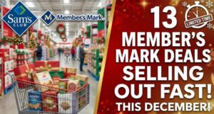 13 Sam’s Club Member’s Mark Deals That Are Selling Out FAST This December!