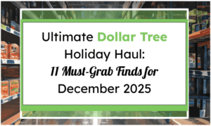 Ultimate Dollar Tree Holiday Haul: 11 Must-Grab Finds for December 2025