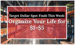 Target Dollar Spot Finds This Week: Organize Your Life for $1–$5