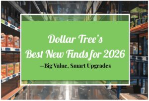 Dollar Tree’s Best New Finds for 2026—Big Value, Smart Upgrades
