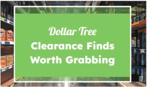 Dollar Tree Clearance Finds Worth Grabbing