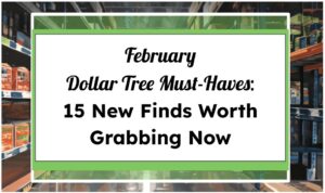 February Dollar Tree Must-Haves: 15 New Finds Worth Grabbing Now