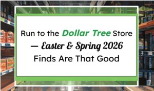Just Spotted at the Dollar Store—These Finds Are Flying Off Shelves (4/11 to 418)
