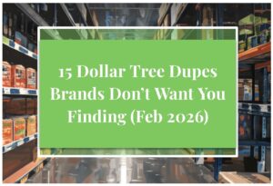 15 Dollar Tree Dupes Brands Don’t Want You Finding (Feb 2026)