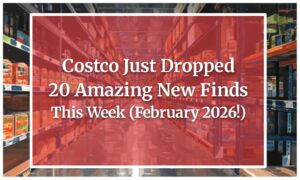 Costco Just Dropped 20 Amazing New Finds This Week (February 2026!)