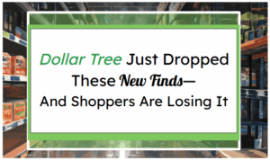 Dollar Tree Just Dropped These New Finds—And Shoppers Are Losing It