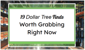 19 Dollar Tree Finds Worth Grabbing Right Now