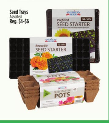 Seed Trays