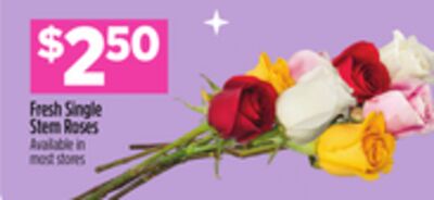 Fresh Single Stem Roses