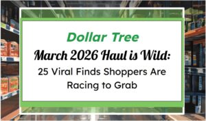 Dollar Tree’s March 2026 Haul Is Wild: 25 Viral Finds Shoppers Are Racing to Grab