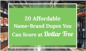 20 Affordable Name-Brand Dupes You Can Score at Dollar Tree