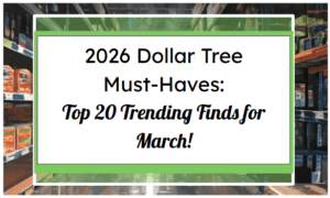 2026 Dollar Tree Must-Haves: Top 20 Trending Finds for March!