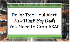 Dollar Tree Haul Alert: New Must-Buy Deals You Need to Grab ASAP